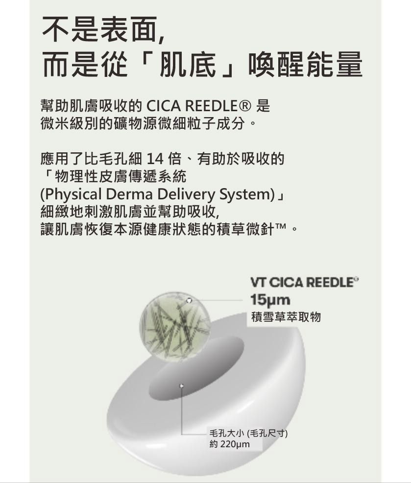VT REEDLE SHOT 100 2STEP MASK 韓國 原廠正貨